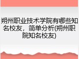 朔州职业技术学院有哪些知名校友，简单分析(朔州职院知名校友)
