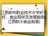 江西软件职业技术大学好不好，就业现状及发展趋势(江西软大就业前景)