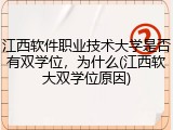 江西软件职业技术大学是否有双学位，为什么(江西软大双学位原因)