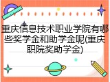 重庆信息技术职业学院有哪些奖学金和助学金呢(重庆职院奖助学金)