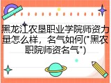 黑龙江农垦职业学院师资力量怎么样，名气如何("黑农职院师资名气")