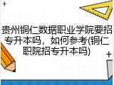 贵州铜仁数据职业学院要招专升本吗，如何参考(铜仁职院招专升本吗)