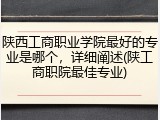 陕西工商职业学院最好的专业是哪个，详细阐述(陕工商职院最佳专业)