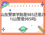 山东警察学院是985还是211(山警是985吗)