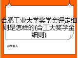 合肥工业大学奖学金评定细则是怎样的(合工大奖学金细则)