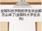 金陵科技学院的学生毕业都怎么样了(金陵科大学生去向)