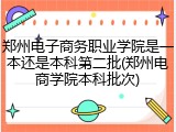 郑州电子商务职业学院是一本还是本科第二批(郑州电商学院本科批次)