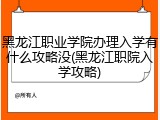 黑龙江职业学院办理入学有什么攻略没(黑龙江职院入学攻略)