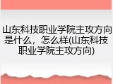 山东科技职业学院主攻方向是什么，怎么样(山东科技职业学院主攻方向)