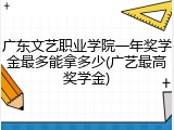广东文艺职业学院一年奖学金最多能拿多少(广艺最高奖学金)