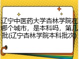 辽宁中医药大学杏林学院在哪个城市，是本科吗，第几批(辽宁杏林学院本科批次)