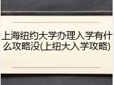 上海纽约大学办理入学有什么攻略没(上纽大入学攻略)