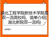 湖北工程学院新技术学院是双一流高校吗，简单介绍(湖北新院双一流吗)