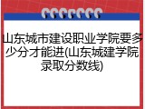 山东城市建设职业学院要多少分才能进(山东城建学院录取分数线)