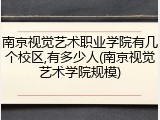南京视觉艺术职业学院有几个校区,有多少人(南京视觉艺术学院规模)