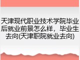 天津现代职业技术学院毕业后就业前景怎么样，毕业生去向(天津职院就业去向)
