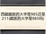 西藏藏医药大学是985还是211(藏医药大学是985吗)