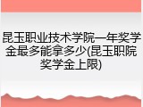 昆玉职业技术学院一年奖学金最多能拿多少(昆玉职院奖学金上限)