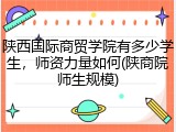 陕西国际商贸学院有多少学生，师资力量如何(陕商院师生规模)
