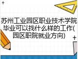 苏州工业园区职业技术学院毕业可以找什么样的工作(园区职院就业方向)