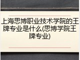 上海思博职业技术学院的王牌专业是什么(思博学院王牌专业)