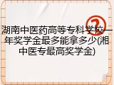 湖南中医药高等专科学校一年奖学金最多能拿多少(湘中医专最高奖学金)