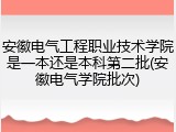 安徽电气工程职业技术学院是一本还是本科第二批(安徽电气学院批次)