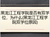 黑龙江工程学院是否有双学位，为什么(黑龙江工程学院双学位原因)