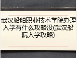 武汉船舶职业技术学院办理入学有什么攻略没(武汉船院入学攻略)