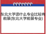 东北大学读什么专业比较有前景(东北大学前景专业)