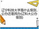 辽宁科技大学是什么级别，公办还是民办(辽科大公办级别)