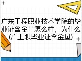 广东工程职业技术学院的毕业证含金量怎么样，为什么(广工职毕业证含金量)