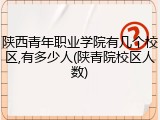 陕西青年职业学院有几个校区,有多少人(陕青院校区人数)