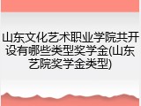 山东文化艺术职业学院共开设有哪些类型奖学金(山东艺院奖学金类型)