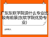 广东东软学院读什么专业比较有前景(东软学院优势专业)