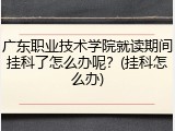 广东职业技术学院就读期间挂科了怎么办呢？(挂科怎么办)