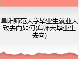 阜阳师范大学毕业生就业大致去向如何(阜师大毕业生去向)