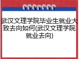 武汉文理学院毕业生就业大致去向如何(武汉文理学院就业去向)