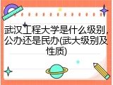武汉工程大学是什么级别，公办还是民办(武大级别及性质)