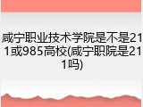 咸宁职业技术学院是不是211或985高校(咸宁职院是211吗)