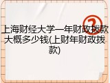 上海财经大学一年财政拨款大概多少钱(上财年财政拨款)