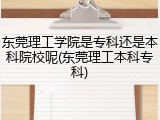 东莞理工学院是专科还是本科院校呢(东莞理工本科专科)