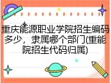 重庆能源职业学院招生编码多少，隶属哪个部门(重能院招生代码归属)
