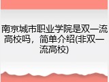 南京城市职业学院是双一流高校吗，简单介绍(非双一流高校)