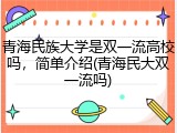 青海民族大学是双一流高校吗，简单介绍(青海民大双一流吗)