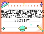 黑龙江商业职业学院是985还是211(黑龙江商职院是985211吗)