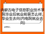 内蒙古电子信息职业技术学院毕业后就业前景怎么样，毕业生去向(内电院就业去向)