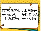 江西现代职业技术学院什么专业最好，一年招多少人(江现院热门专业人数)