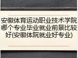 安徽体育运动职业技术学院哪个专业毕业就业前景比较好(安徽体院就业好专业)