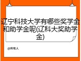 辽宁科技大学有哪些奖学金和助学金呢(辽科大奖助学金)